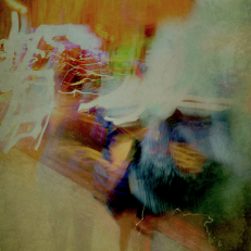 November Freeze 2019